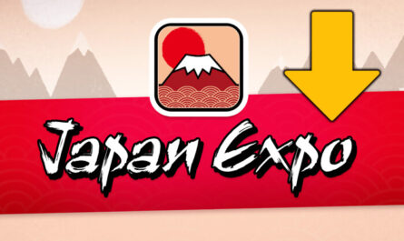 Japan Expo 2024 : des chiffres en baisse, les organisateurs restent confiants